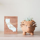 Hedgehog Planter - Coco Planter|From LIKHÂ