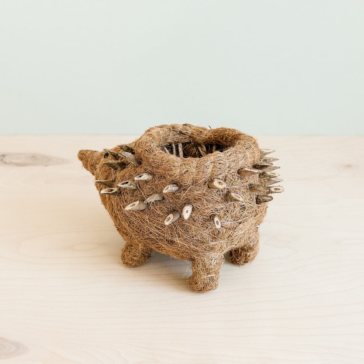 Hedgehog Planter - Coco Planter|From LIKHÂ
