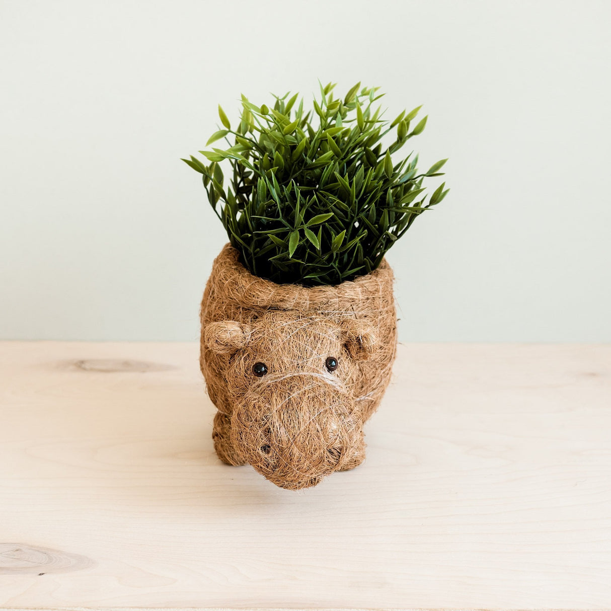 Hippo Planter - Coco Planter | From LIKHÂ