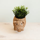Hippo Planter - Coco Planter | From LIKHÂ