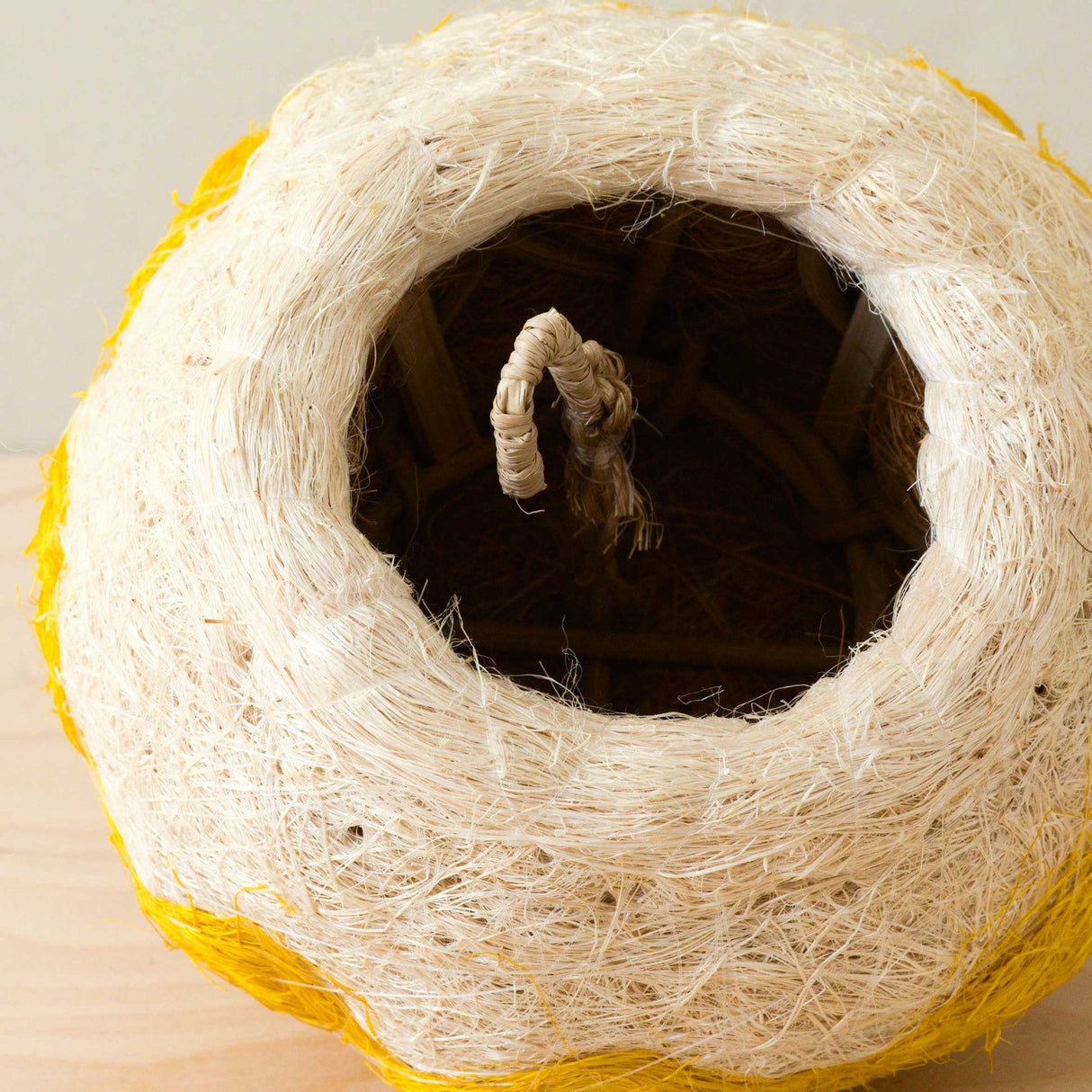 Jellyfish Air Planter - Handmade Planters | From LIKHÂ