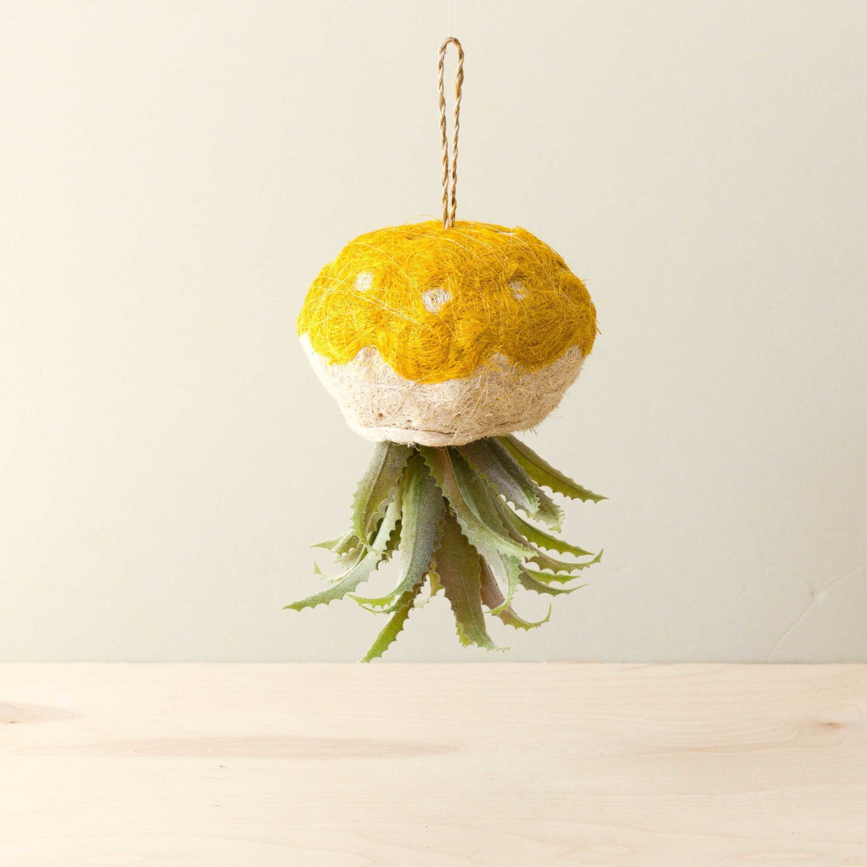 Jellyfish Air Planter - Handmade Planters | From LIKHÂ