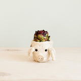 Pig Plant Pot - Animal Head Plant Pot | From LIKHÂ