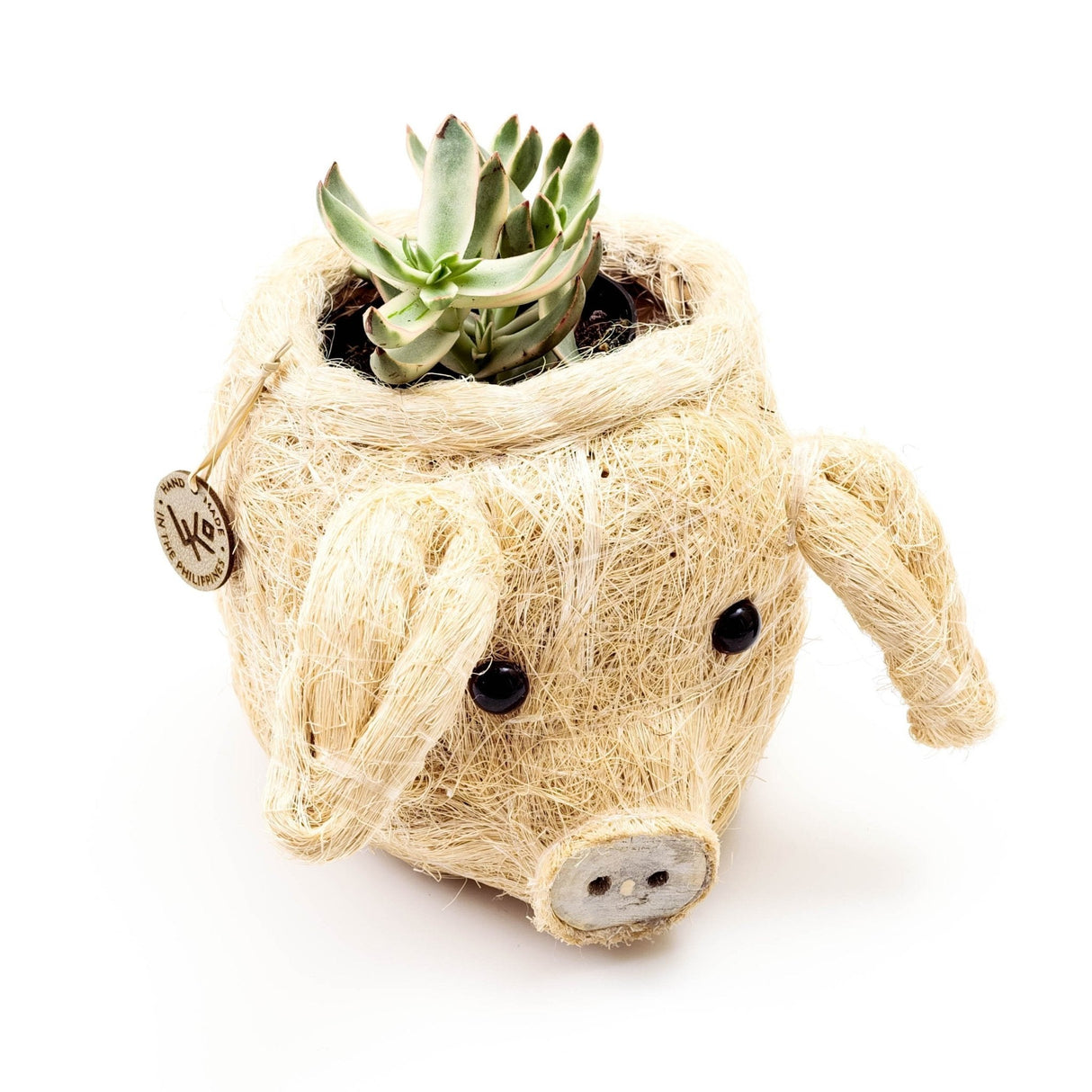 Pig Plant Pot - Animal Head Plant Pot | From LIKHÂ