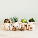 Pig Plant Pot - Animal Head Plant Pot | From LIKHÂ