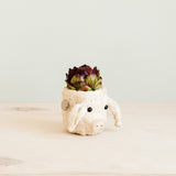 Pig Plant Pot - Animal Head Plant Pot | From LIKHÂ
