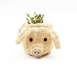 Pig Plant Pot - Animal Head Plant Pot | From LIKHÂ