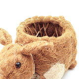 Pig Planter - Coco Coir Pots | From LIKHÂ