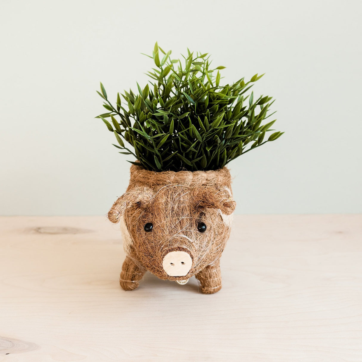 Pig Planter - Coco Coir Pots | From LIKHÂ