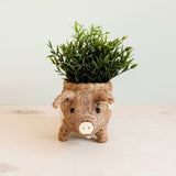Pig Planter - Coco Coir Pots | From LIKHÂ