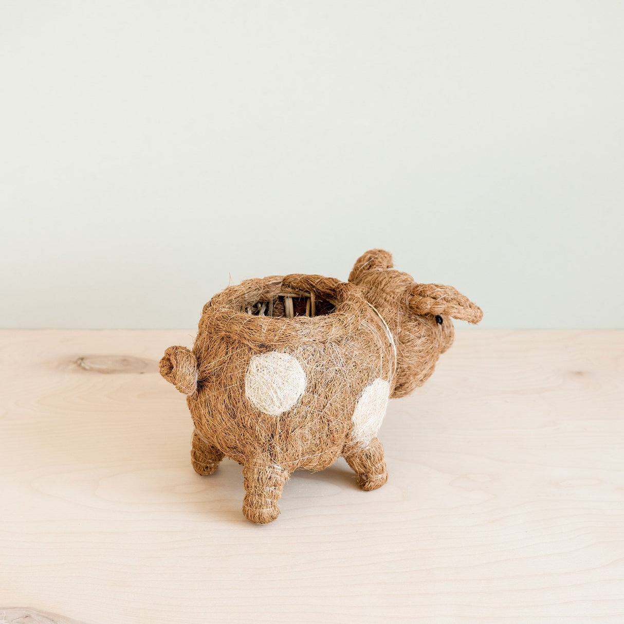 Pig Planter - Coco Coir Pots | From LIKHÂ