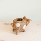 Pig Planter - Coco Coir Pots | From LIKHÂ