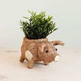 Pig Planter - Coco Coir Pots | From LIKHÂ