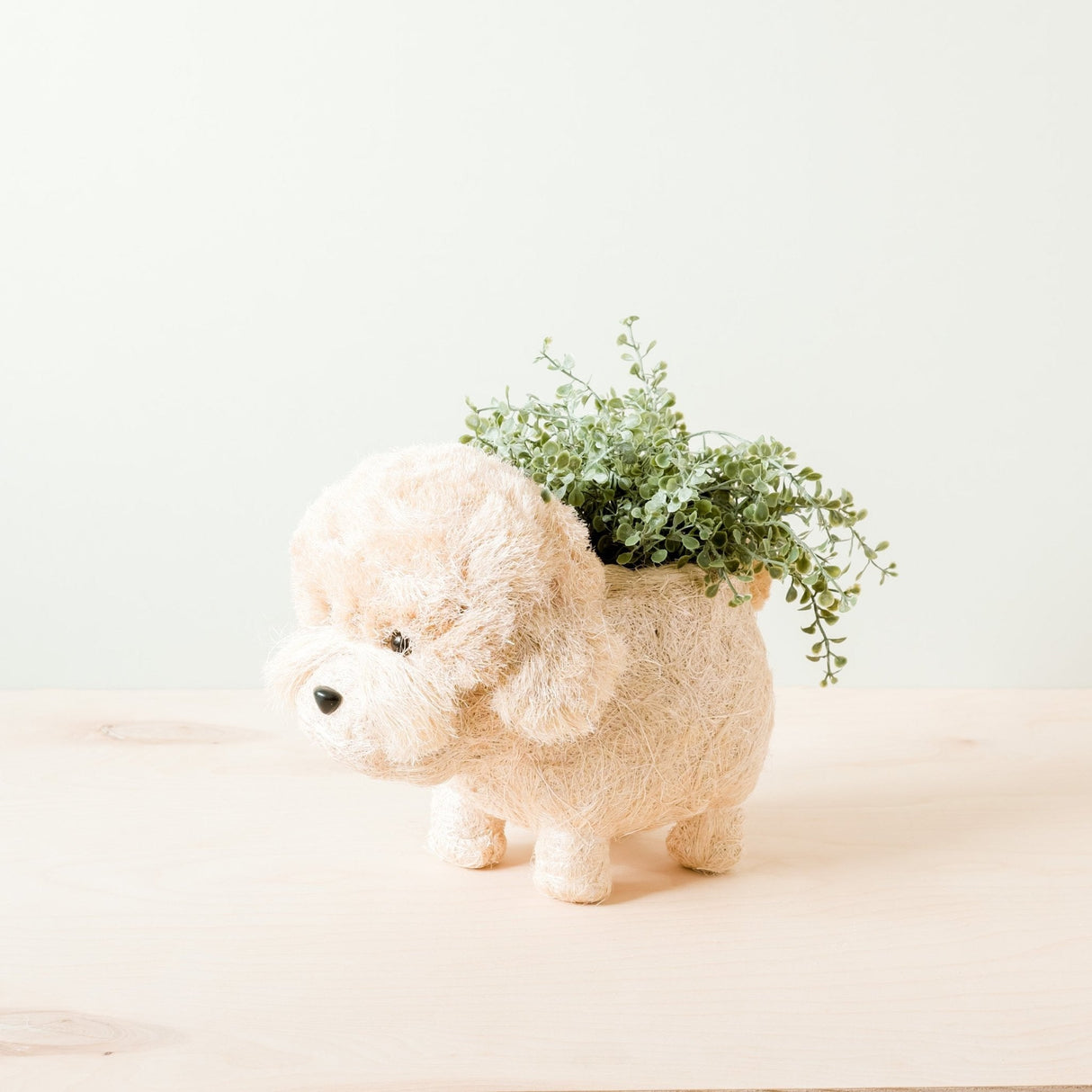 Poodle Planter - Coco Coir Pots |From  LIKHÂ
