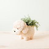 Poodle Planter - Coco Coir Pots |From  LIKHÂ