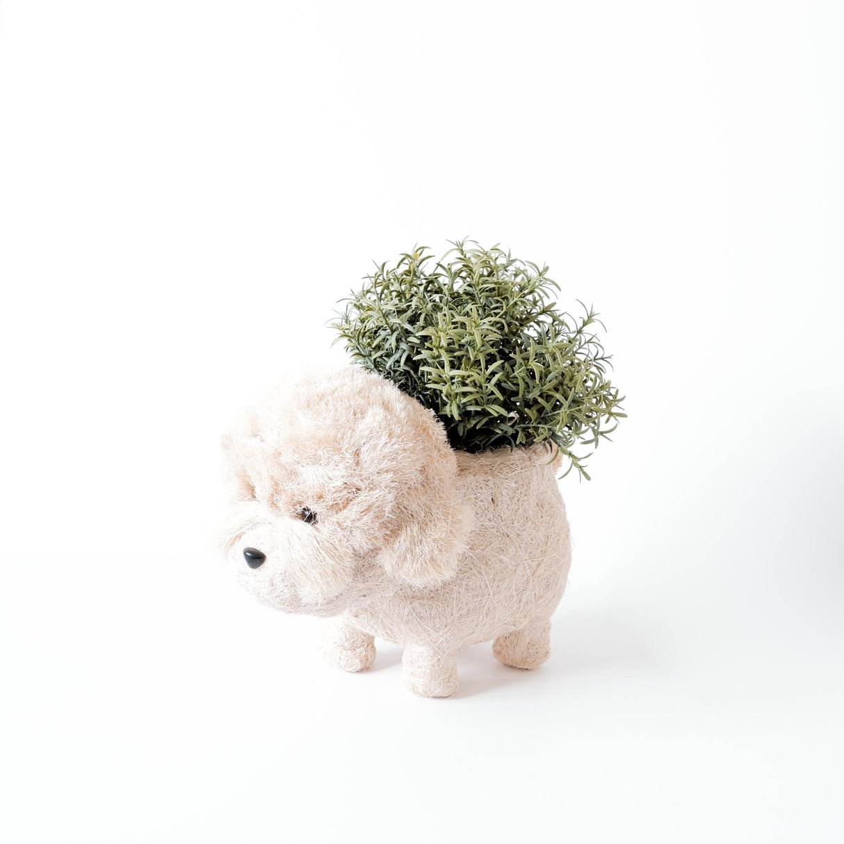 Poodle Planter - Coco Coir Pots |From  LIKHÂ