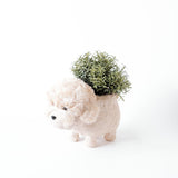 Poodle Planter - Coco Coir Pots |From  LIKHÂ