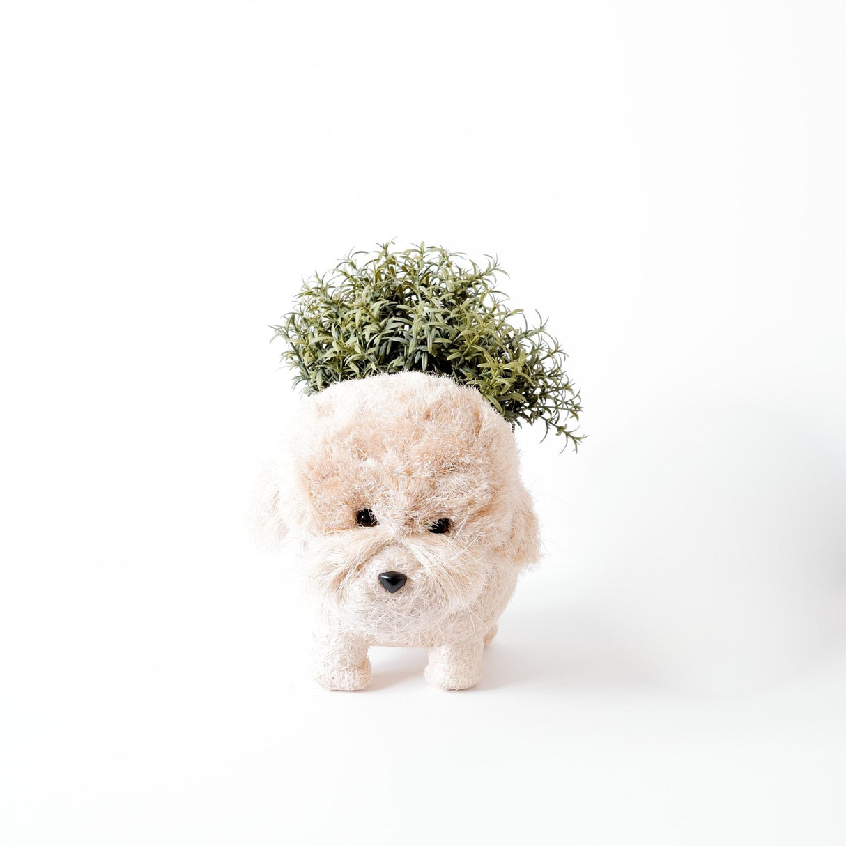 Poodle Planter - Coco Coir Pots |From  LIKHÂ
