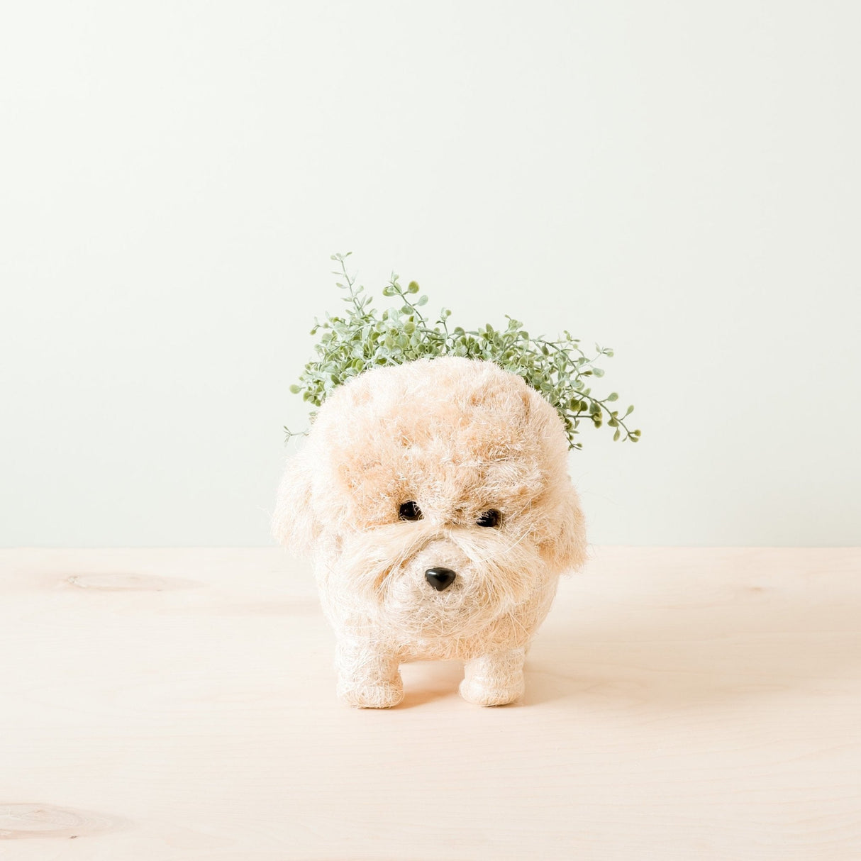 Poodle Planter - Coco Coir Pots |From  LIKHÂ