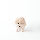 Poodle Planter - Coco Coir Pots |From  LIKHÂ