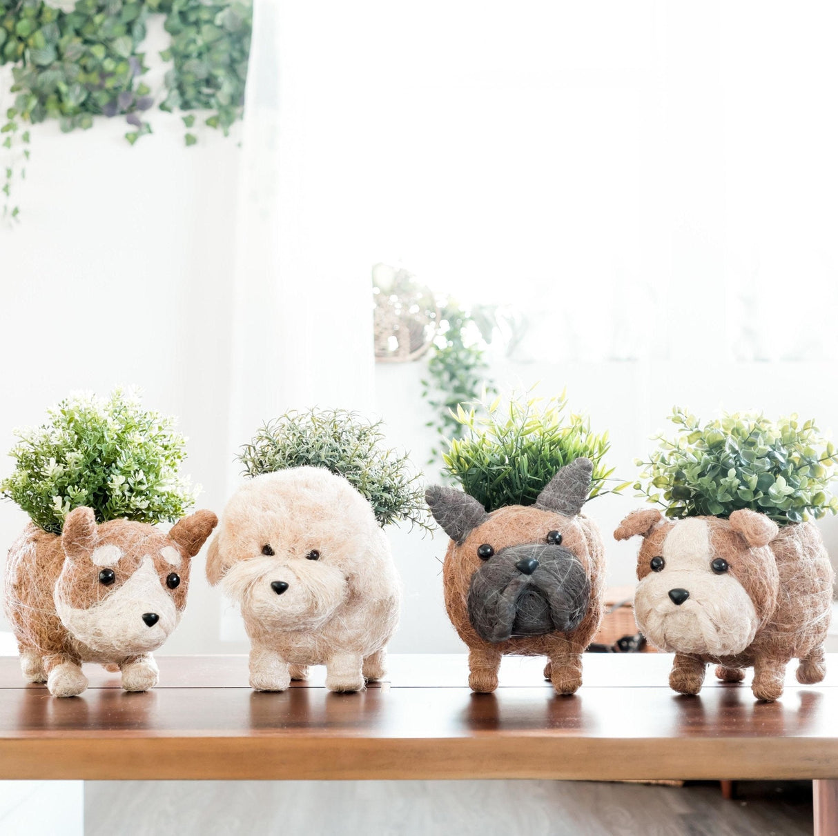 Poodle Planter - Coco Coir Pots |From  LIKHÂ