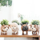 Poodle Planter - Coco Coir Pots |From  LIKHÂ