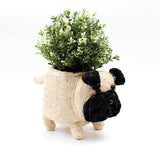 Pug Planter - Coco Coir Pots | From LIKHÂ