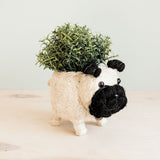 Pug Planter - Coco Coir Pots | From LIKHÂ