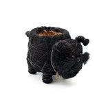 Schnauzer Planter - Coco Coir Pots |From LIKHÂ
