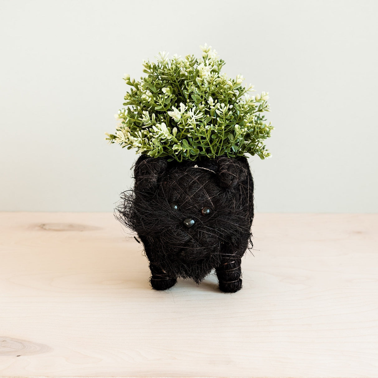 Schnauzer Planter - Coco Coir Pots |From LIKHÂ