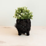Schnauzer Planter - Coco Coir Pots |From LIKHÂ