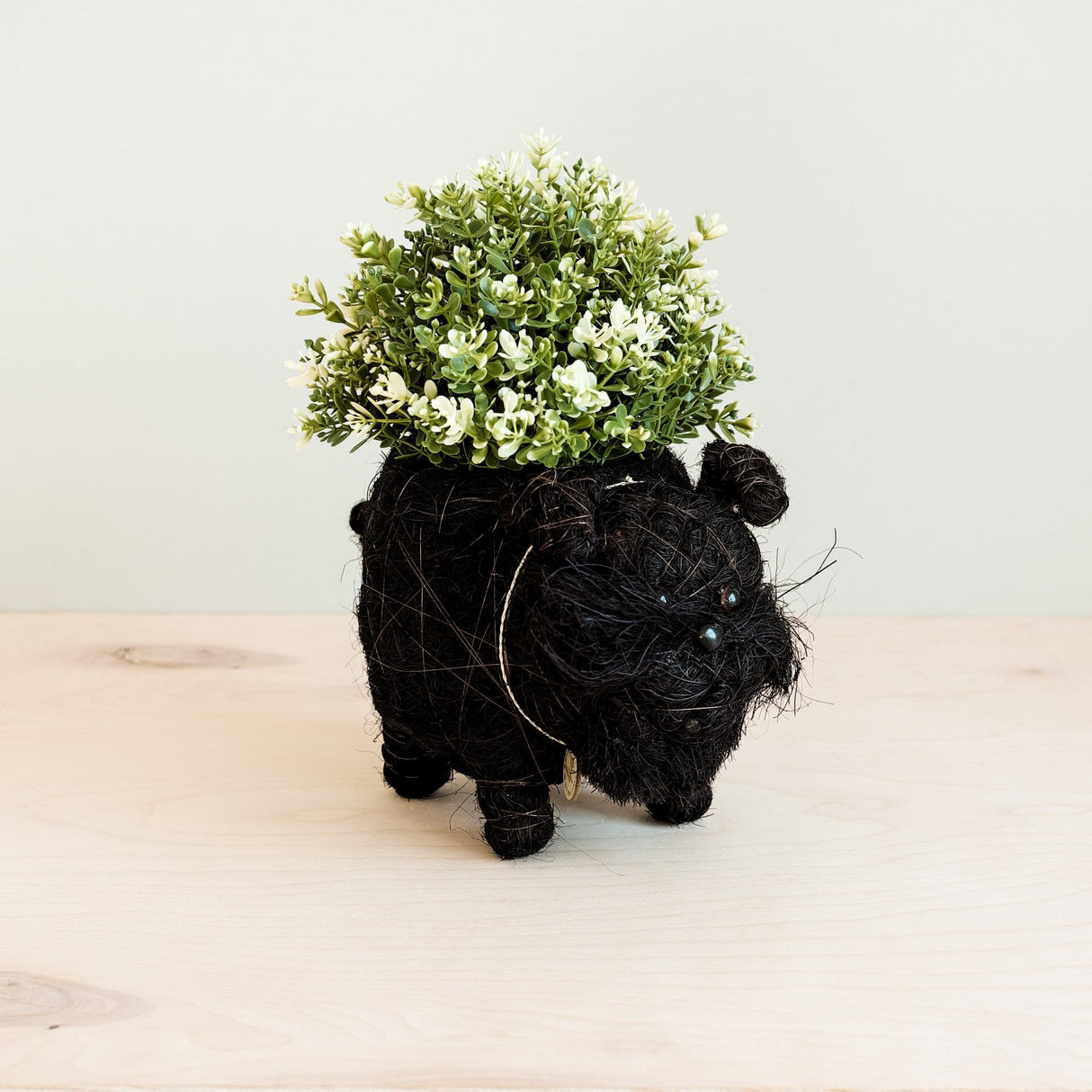 Schnauzer Planter - Coco Coir Pots |From LIKHÂ