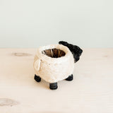 Sheep Planter - Coco Coir Pots |From  LIKHÂ
