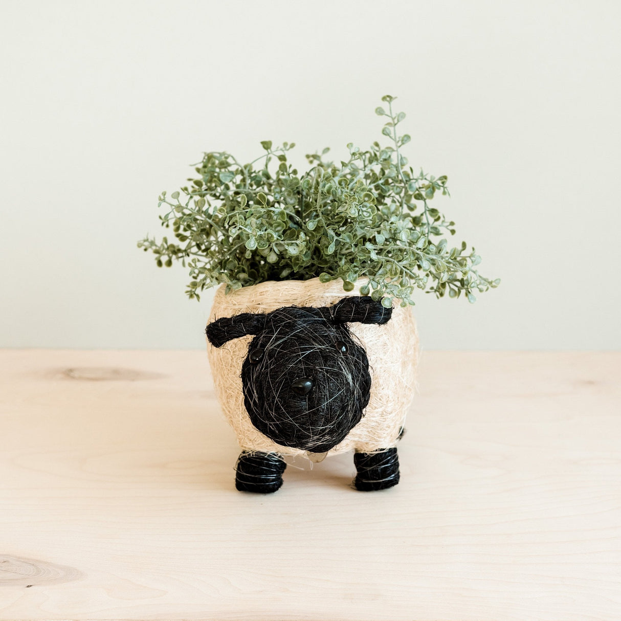 Sheep Planter - Coco Coir Pots |From  LIKHÂ