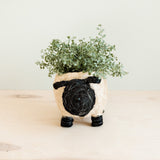 Sheep Planter - Coco Coir Pots |From  LIKHÂ