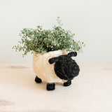 Sheep Planter - Coco Coir Pots |From  LIKHÂ