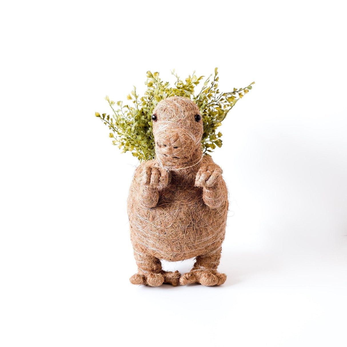 T-Rex Planter - Coco Coir Pots |From  LIKHÂ