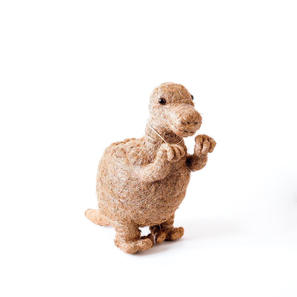 T-Rex Planter - Coco Coir Pots |From  LIKHÂ