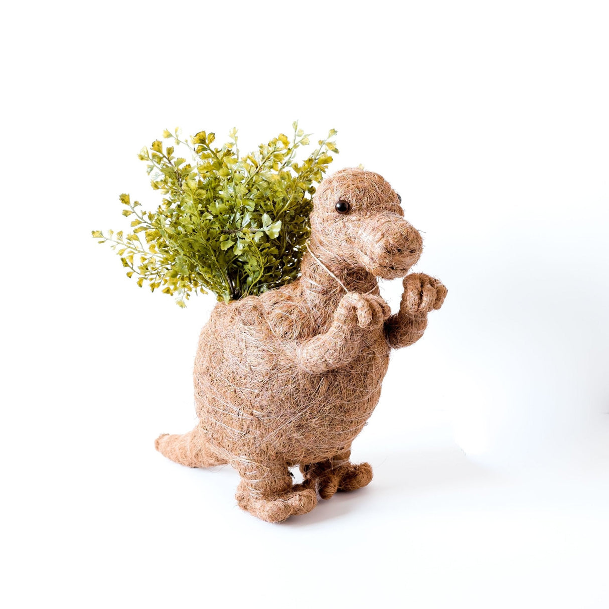 T-Rex Planter - Coco Coir Pots |From  LIKHÂ