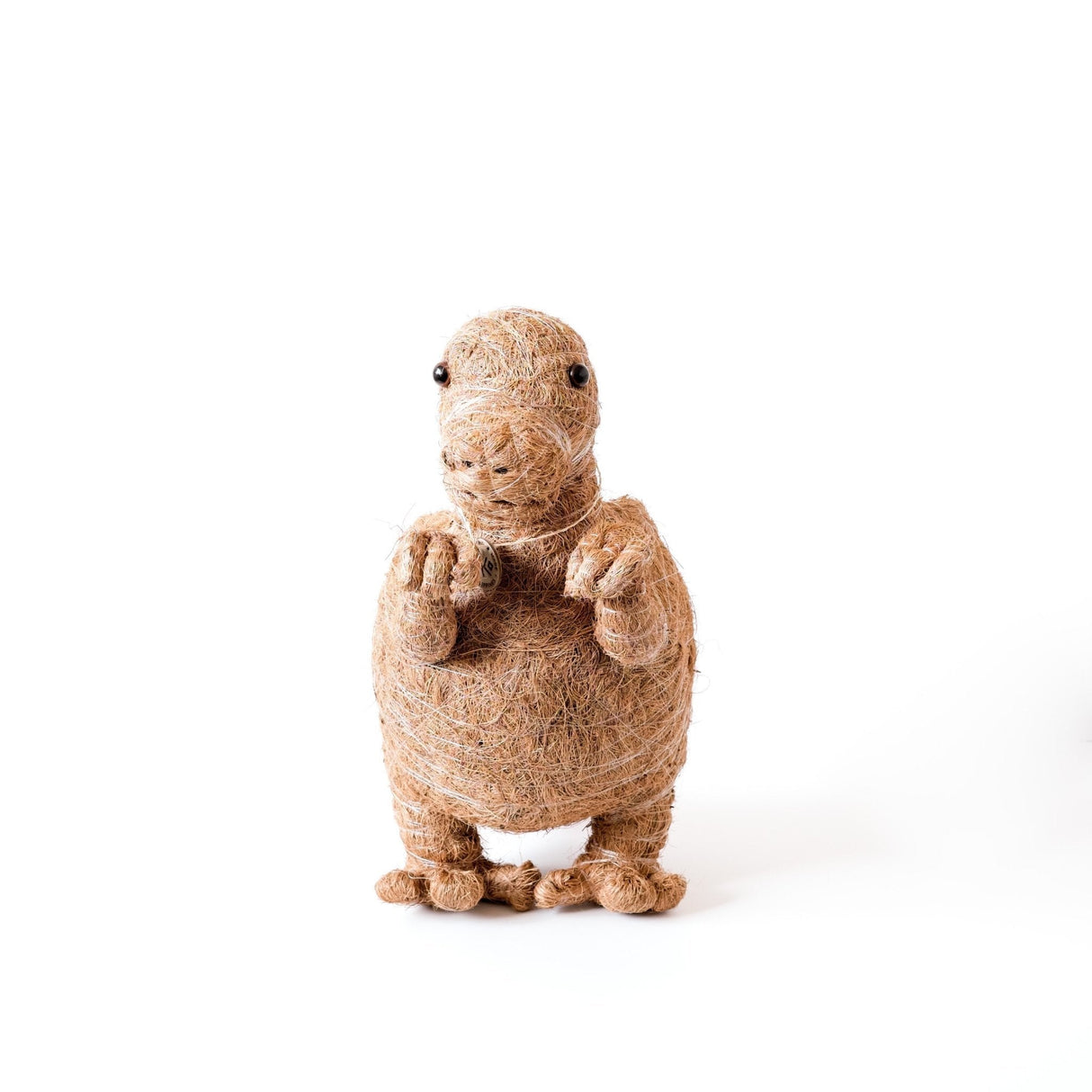 T-Rex Planter - Coco Coir Pots |From  LIKHÂ