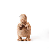 T-Rex Planter - Coco Coir Pots |From  LIKHÂ