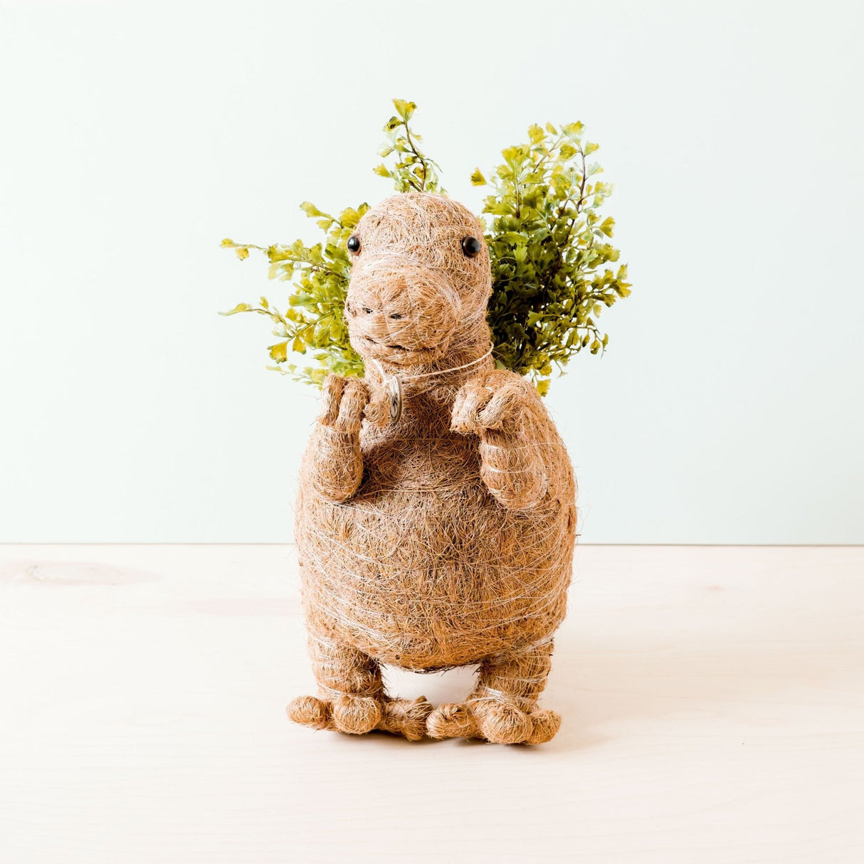T-Rex Planter - Coco Coir Pots |From  LIKHÂ
