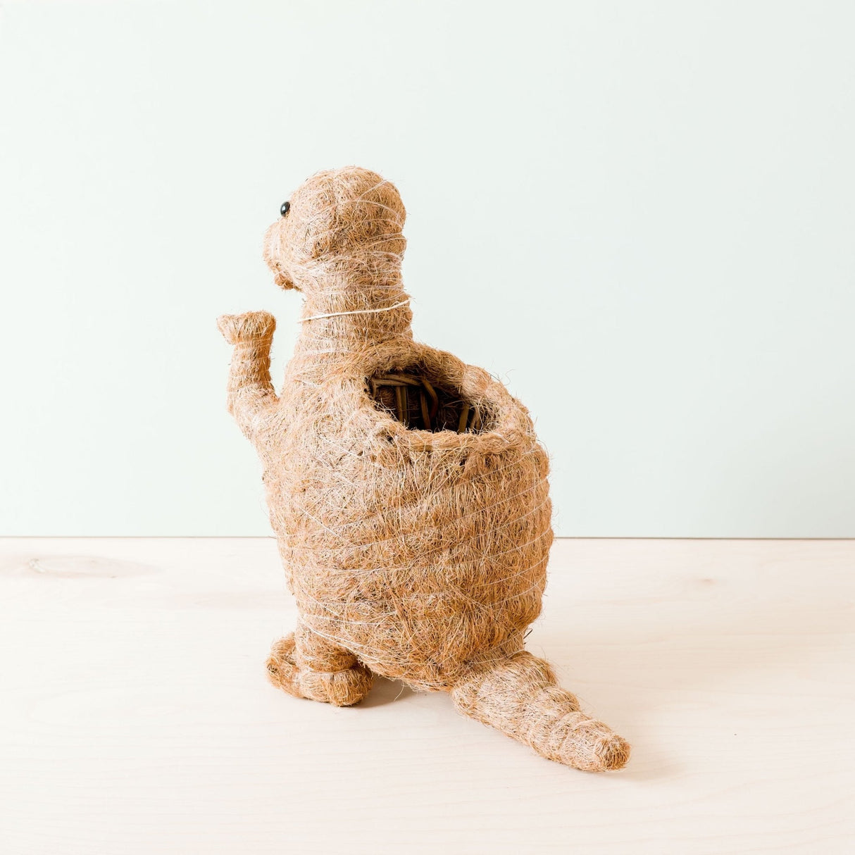 T-Rex Planter - Coco Coir Pots |From  LIKHÂ