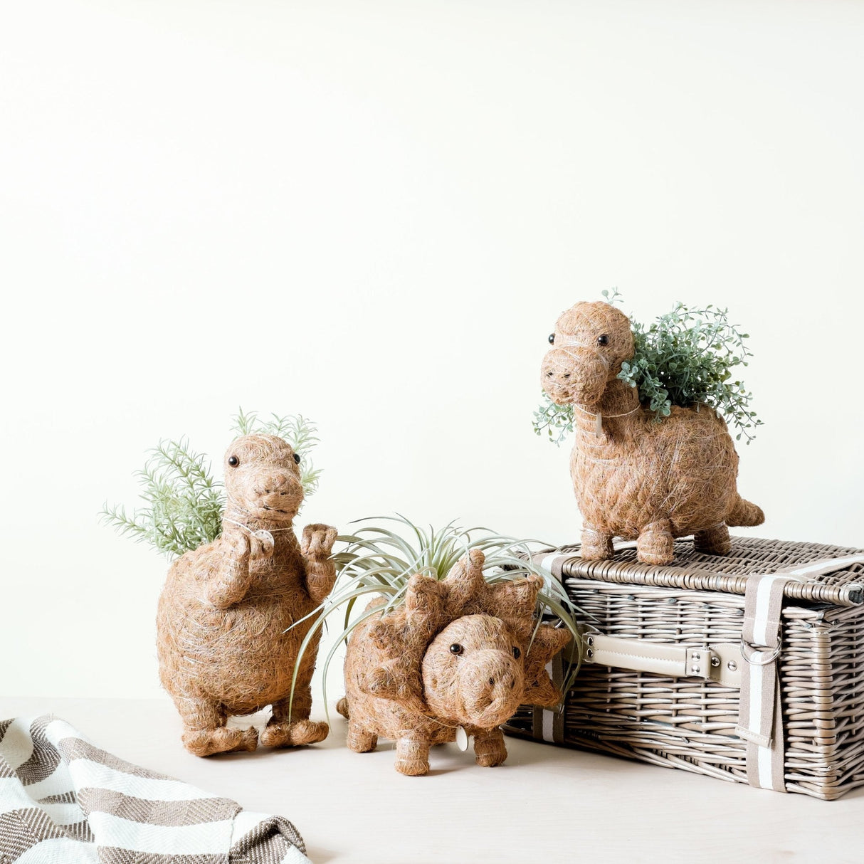 T-Rex Planter - Coco Coir Pots |From  LIKHÂ
