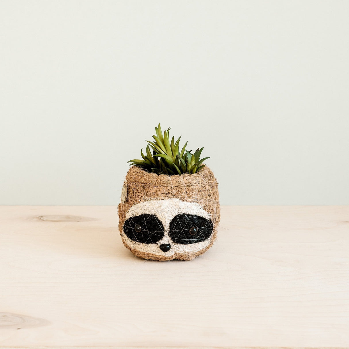 Three-tone Sloth Coco Coir Planter - Handmade Planters | from LIKHÂ