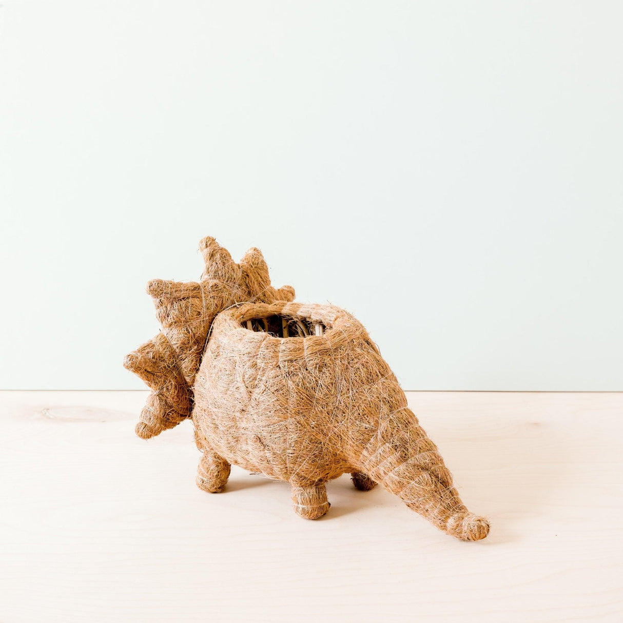 Triceratops Planter - Coco Coir Pots | from LIKHÂ