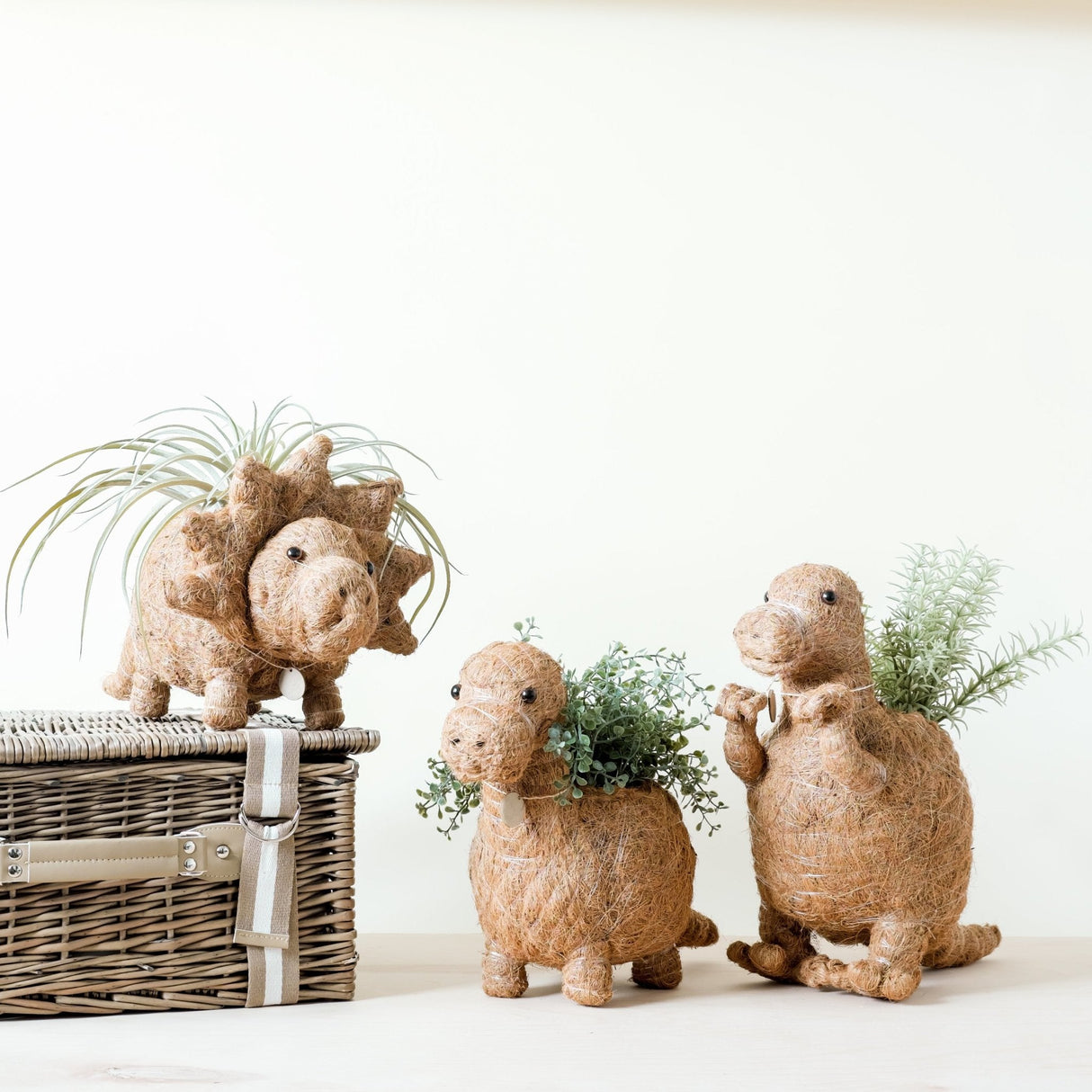 Triceratops Planter - Coco Coir Pots | from LIKHÂ