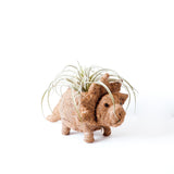 Triceratops Planter - Coco Coir Pots | from LIKHÂ