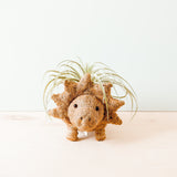 Triceratops Planter - Coco Coir Pots | from LIKHÂ