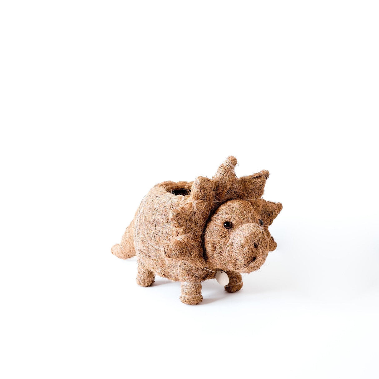 Triceratops Planter - Coco Coir Pots | from LIKHÂ
